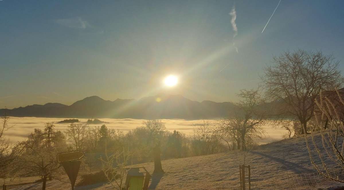 Ratzinger Höhe im Winter (3)